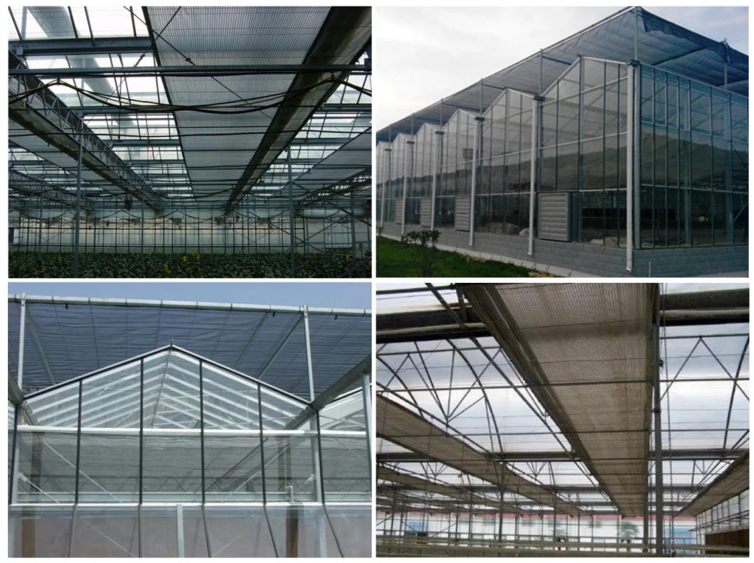 Agricultural Venlo Type Glass Green House with Hydroponic System for Vegetables