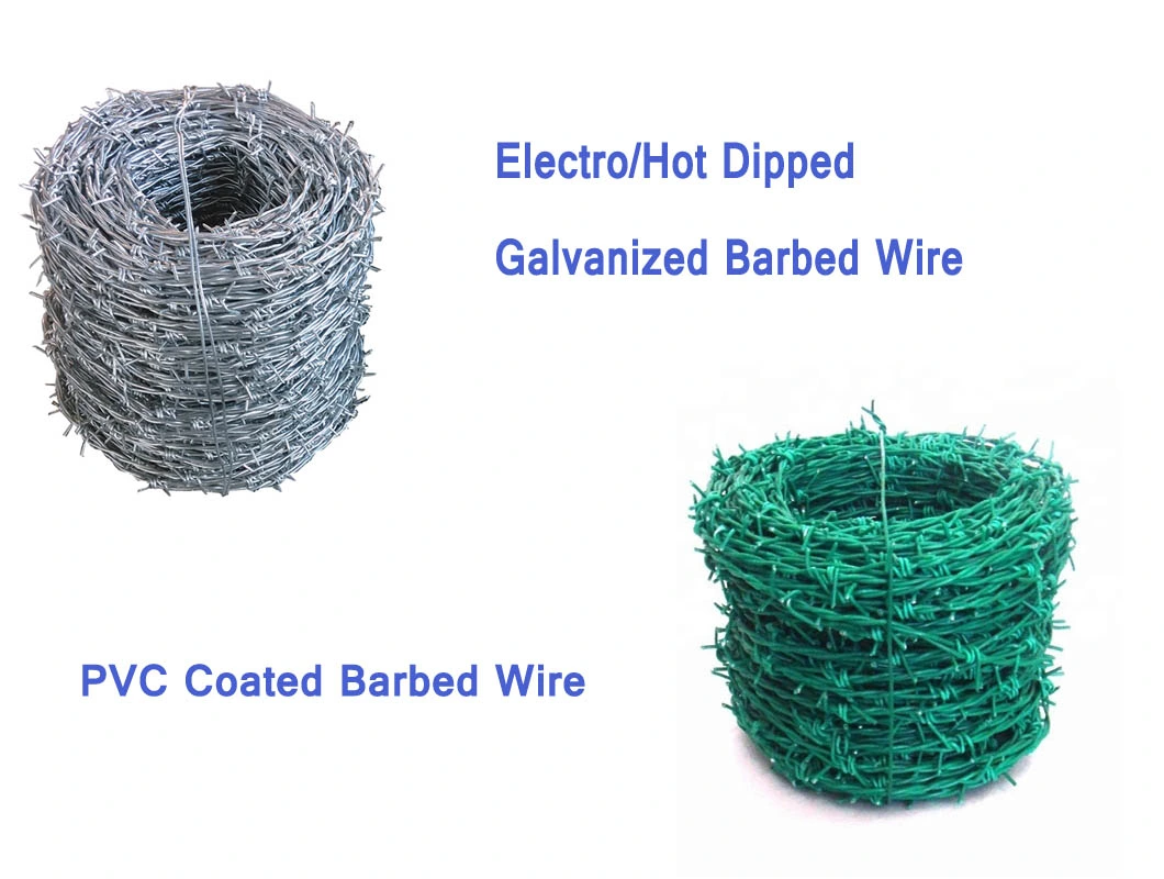Wire Mesh Electro or Green PVC Coated Galvanized Barbed Wire